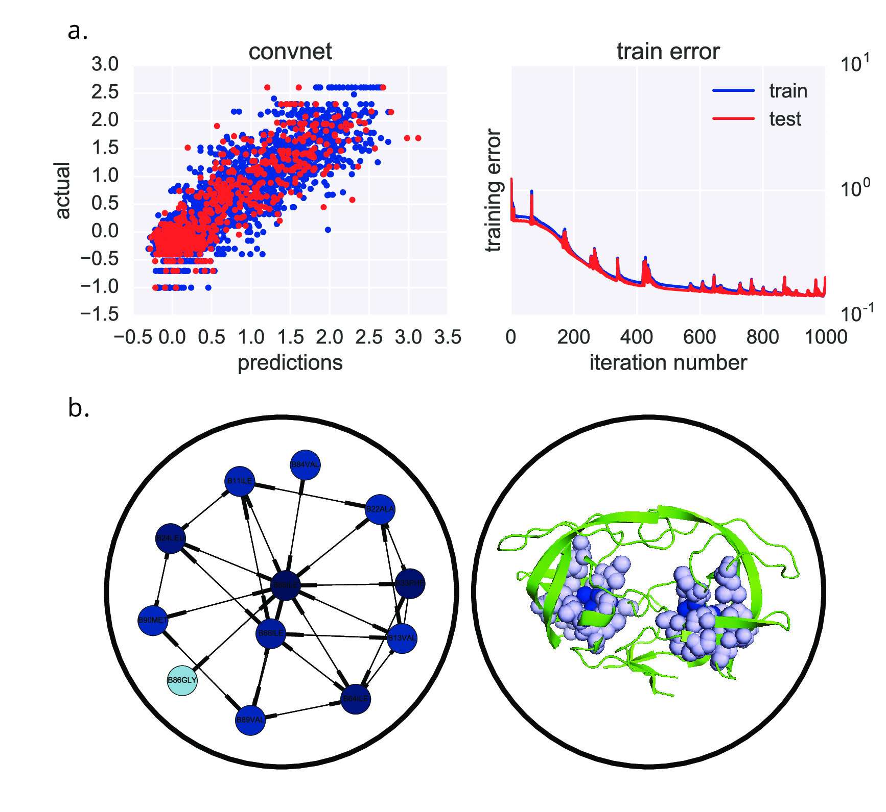 Figure 4: Deep convolutional neural network learns hydrophobic patches predictive of HIV-1 drug resistance to FPV. a. (left) Predicted drug resistance values vs. actual, using convolutional neural network. (right) Training error as a function of training number. b. (left) Network of hydrophobic HIV-1 protease residues most predictive of resistance to FPV, learned by the neural network. Dark blue: highly predictive; white: weakly predictive. (right) Homology model highlighting location of highly predictive residues and its neighbors. Figure from poster on figshare: https://dx.doi.org/10.6084/m9.figshare.4028376.v1