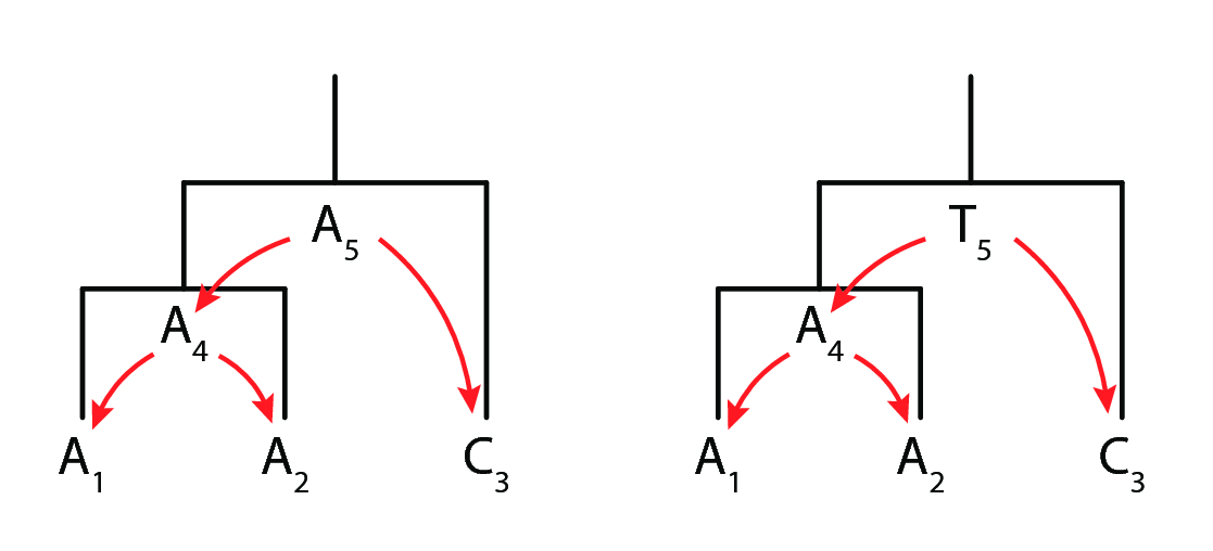 Figure 4: Two trees with internal node reconstructions on which likelihood calculations are performed.