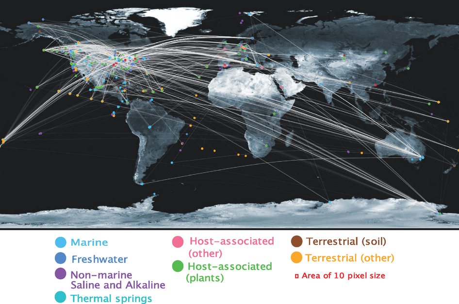 Global distribution of viral diversity.